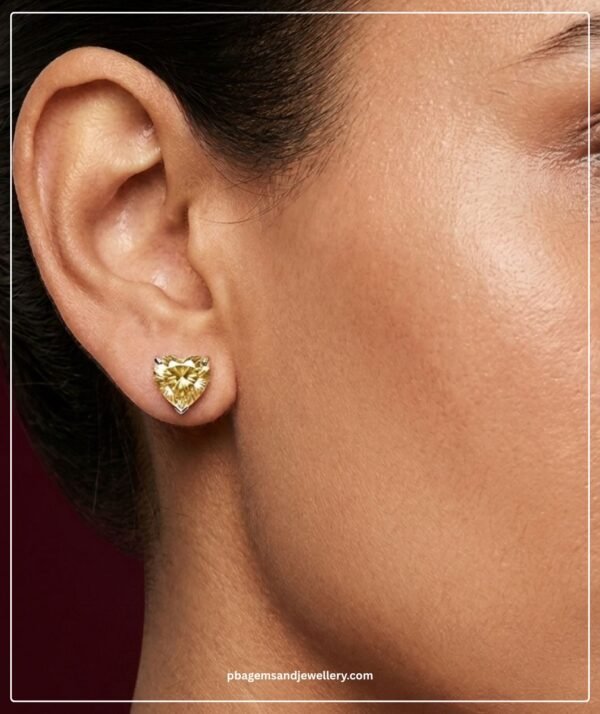 PBA Website Creative Earrings (1)