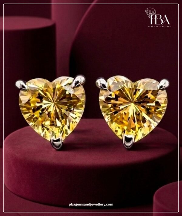 PBA Website Creative Earrings