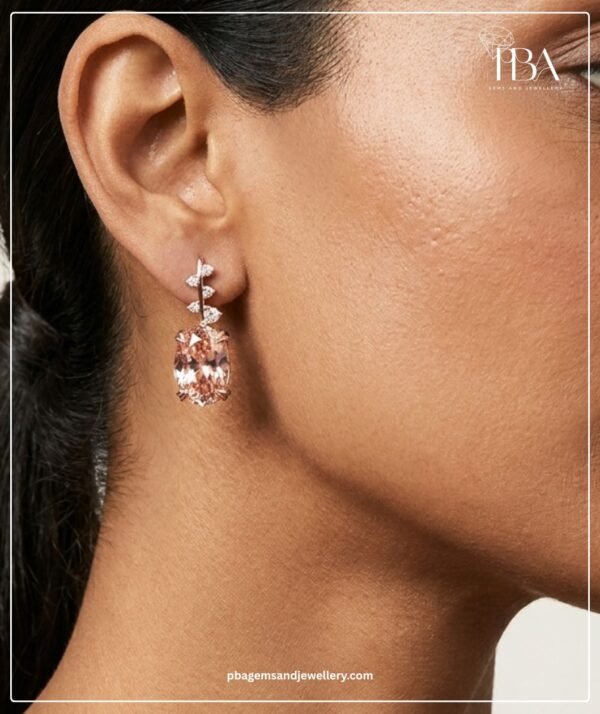 PBA Website Creative Earrings (1)
