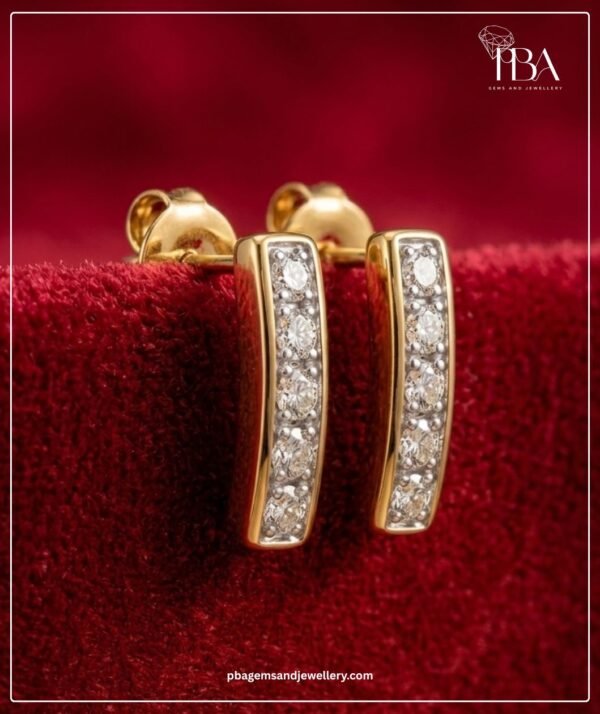 PBA Website Creative Earrings
