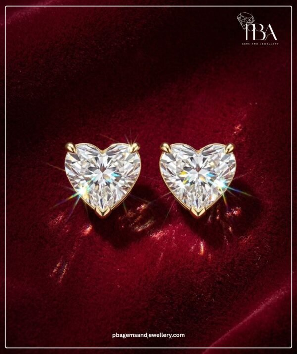 PBA Website Creative Earrings
