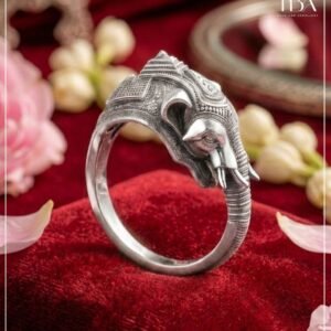 PBA Website Creative Rings (1)