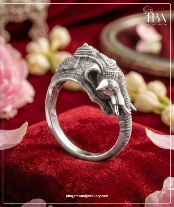 PBA Website Creative Rings (1)