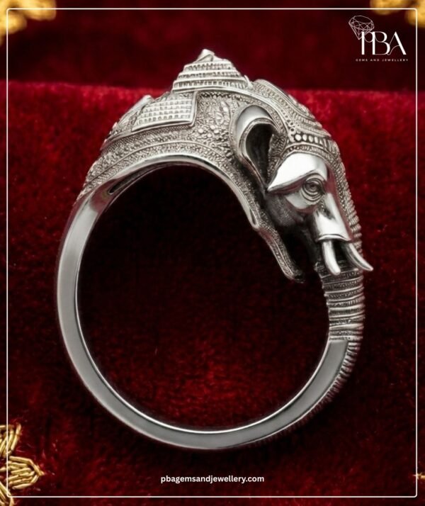 PBA Website Creative Rings (2)