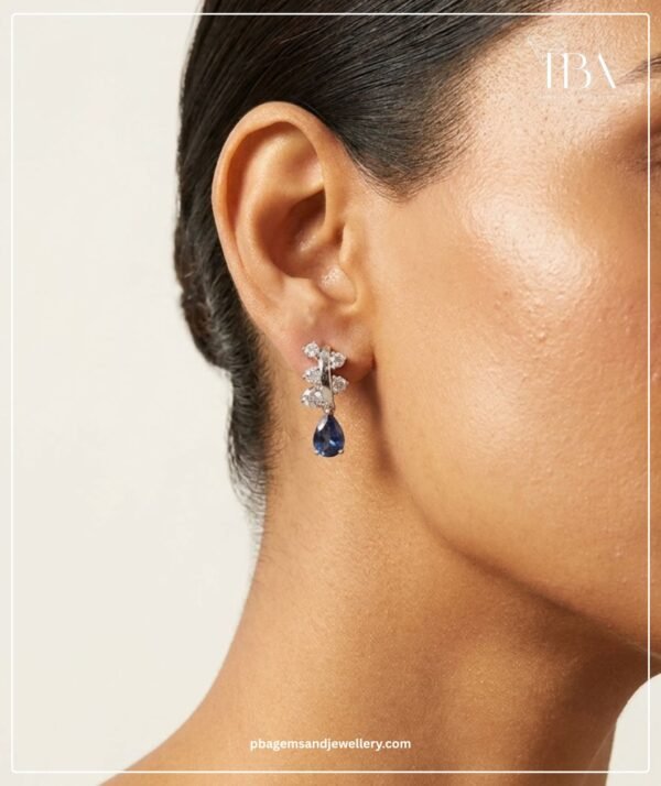 PBA Website Creative Earrings (2)