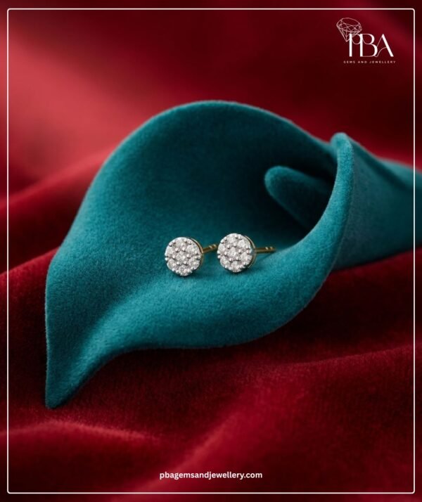PBA Website Creative Earrings (1)